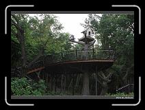 IMG_1983 * 900 x 644 * (292KB)
