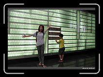 IMG_1985 * 900 x 644 * (300KB)