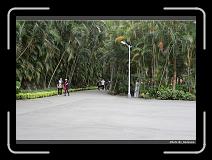 IMG_2187 * 900 x 644 * (294KB)