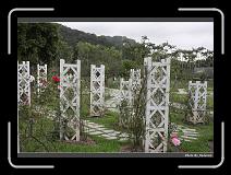 IMG_2211 * 900 x 644 * (297KB)