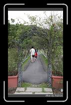 IMG_2212 * 600 x 966 * (288KB)