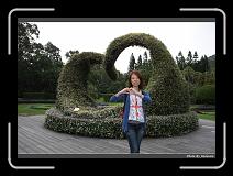 IMG_2216 * 900 x 644 * (291KB)