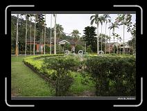 IMG_2219 * 900 x 644 * (295KB)