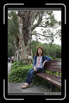 IMG_2223 * 600 x 966 * (300KB)