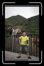 IMG_2122 * 600 x 966 * (284KB)