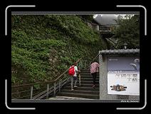 IMG_2132 * 900 x 644 * (291KB)