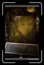 IMG_2153 * 600 x 966 * (286KB)