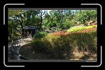 IMG_20131013_102212 * 900 x 549 * (296KB)