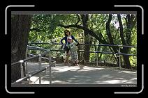 IMG_20131013_102252 * 900 x 549 * (278KB)