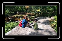 IMG_20131013_104609 * 900 x 549 * (294KB)