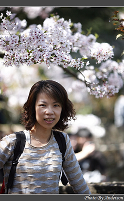 阿里山二日遊