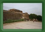 IMG_8468 * 800 x 533 * (390KB)