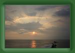 IMG_8504 * 800 x 533 * (304KB)