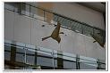 IMG_1716_nEO_IMG
