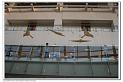 IMG_1717_nEO_IMG