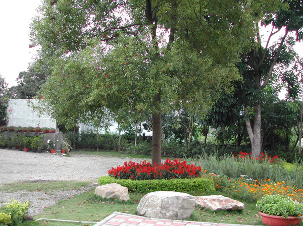 DSCN1492