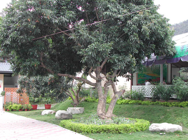 DSCN1493