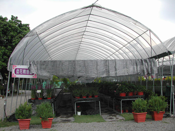 DSCN1504