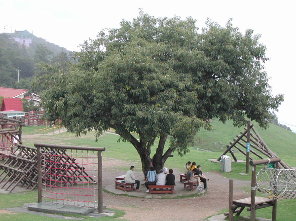 DSCN1547