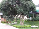 DSCN1493