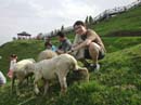 DSCN1516