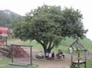DSCN1547